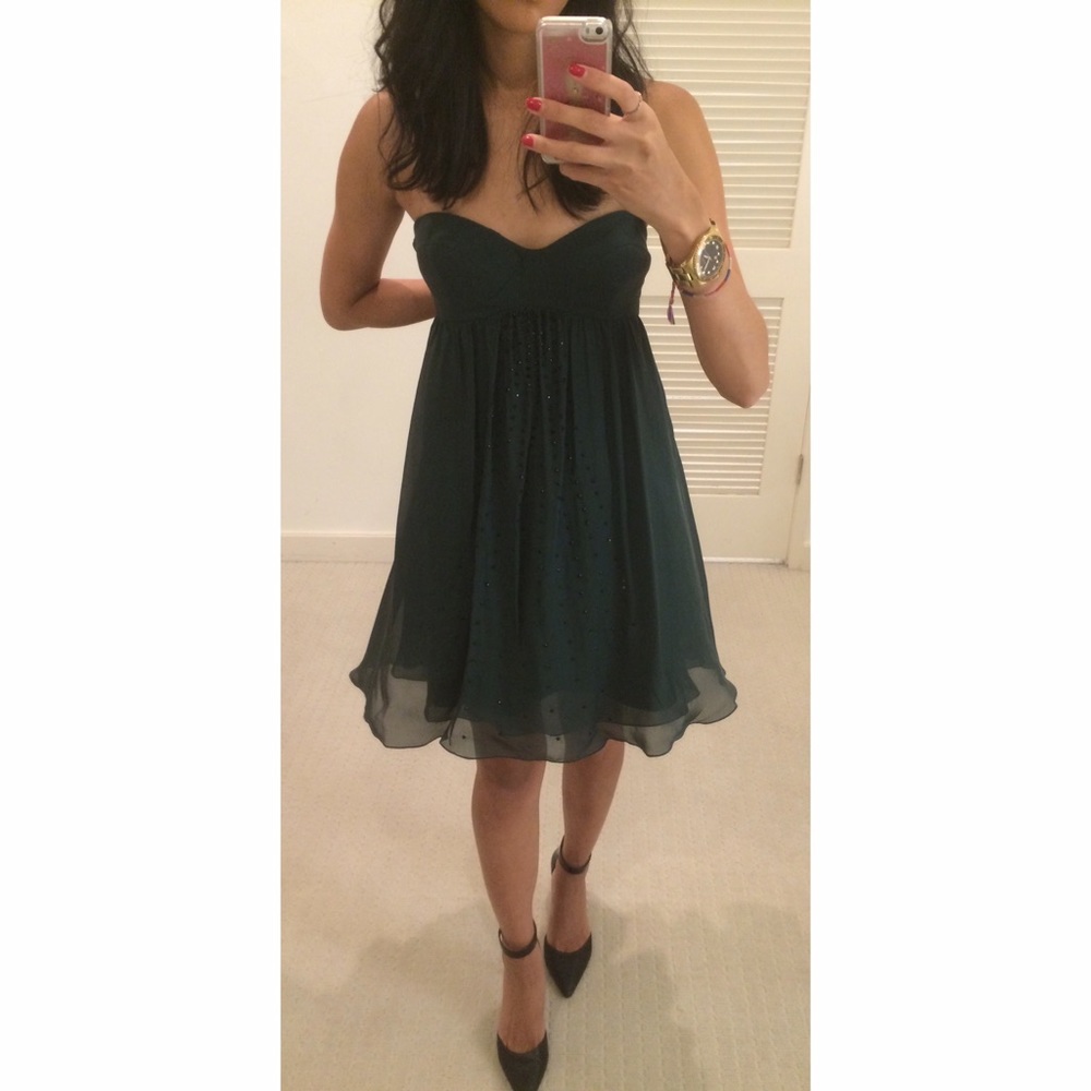 Brand New Haute Hippie Forest Emb Strapless Dress